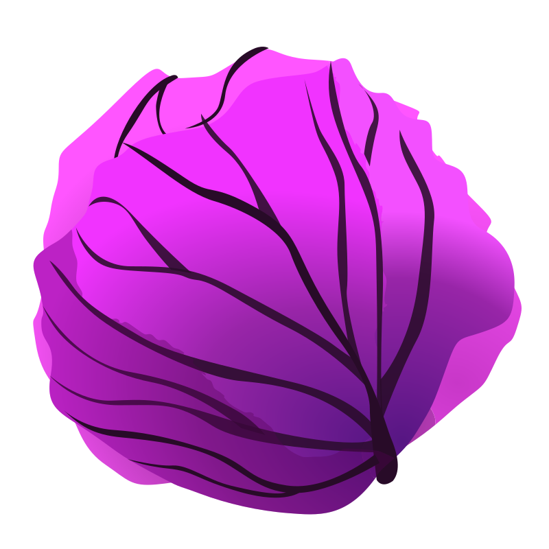 red cabbage