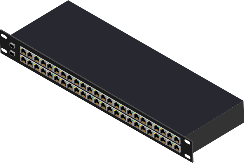 48 Port Switch