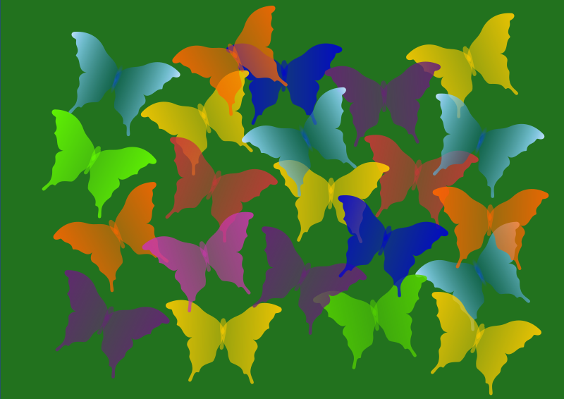 Butterflies