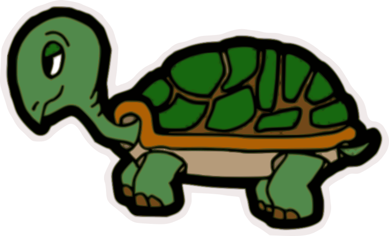 Turtle