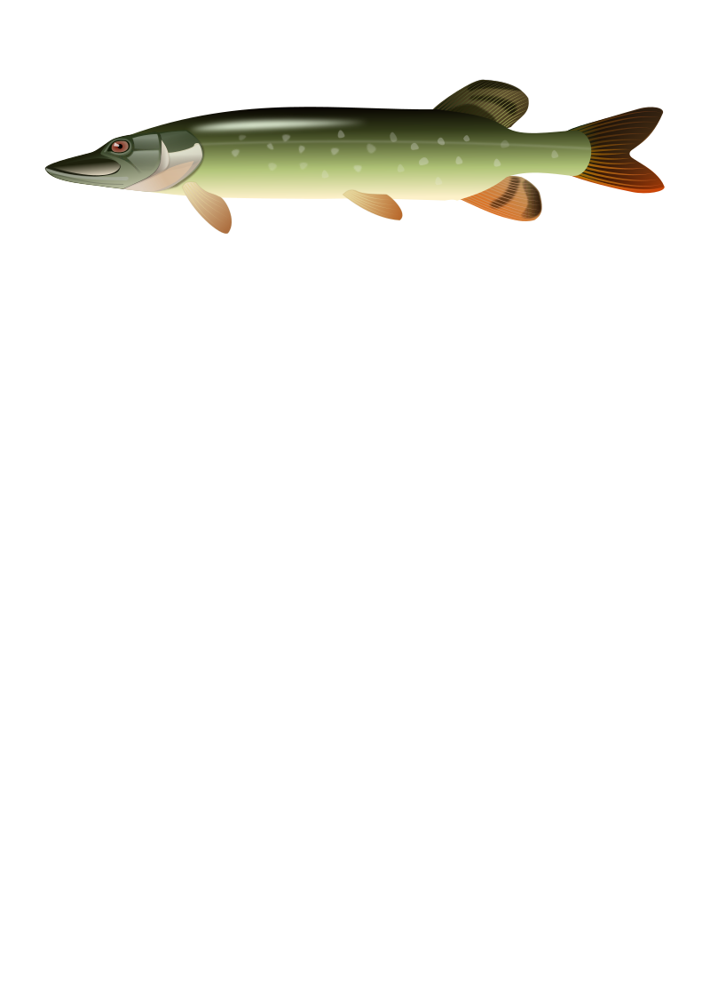 Pike