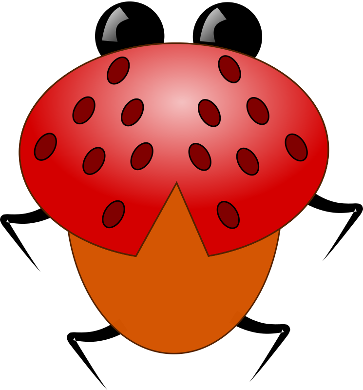 ladybug