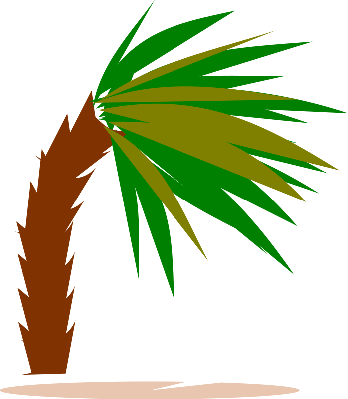 palmtree