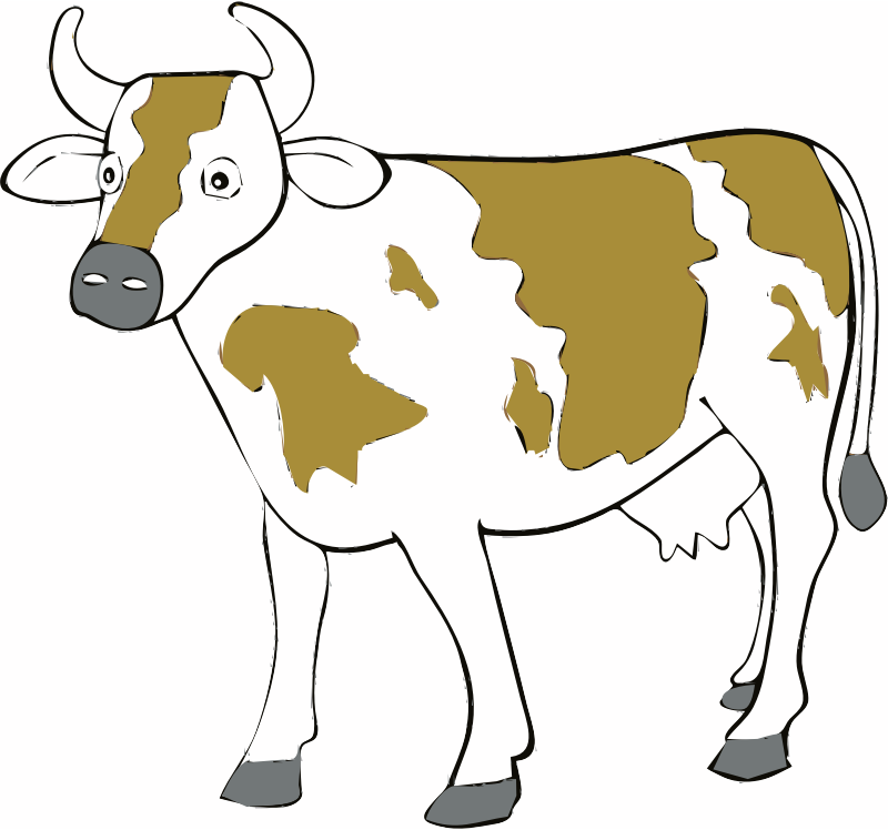 Cow