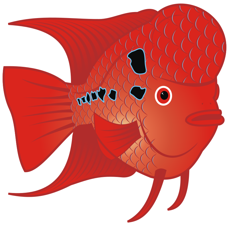 Red Goldfish