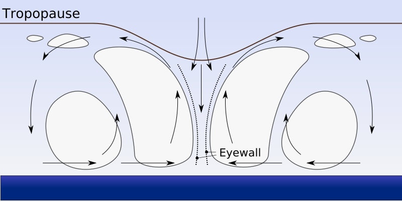 Hurricane profile