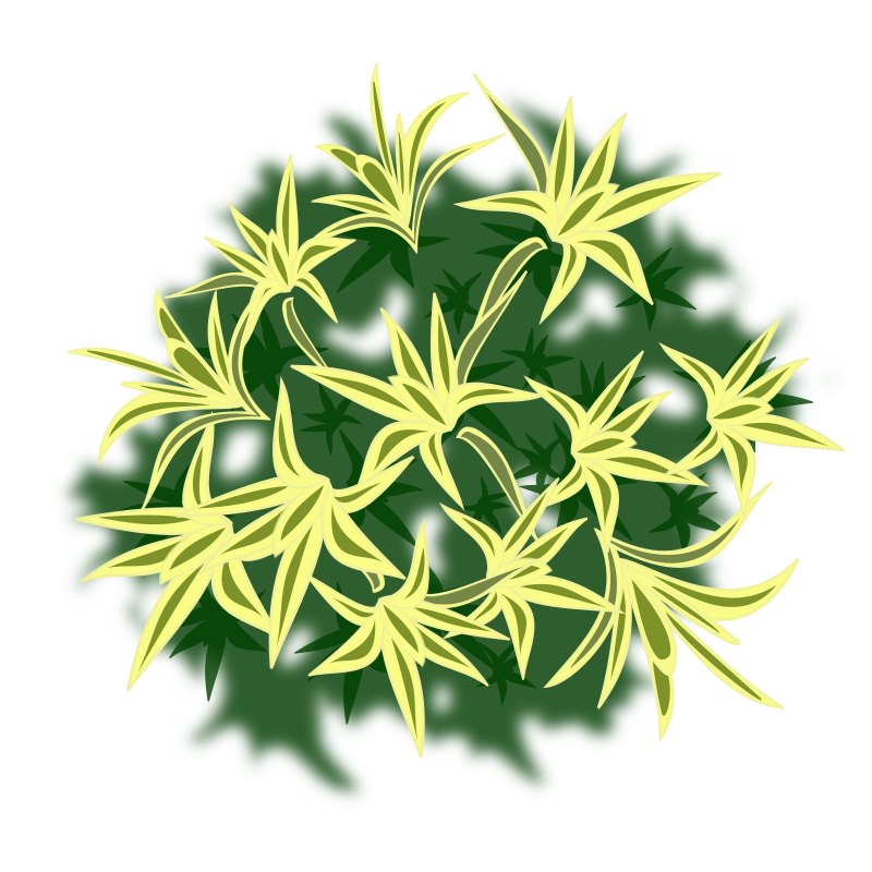 plant-01a