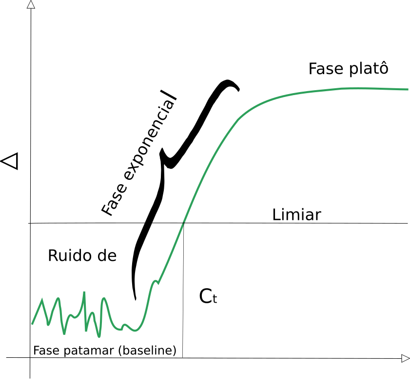 Real Time PCR