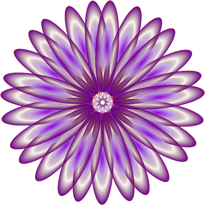 Purple Daisy