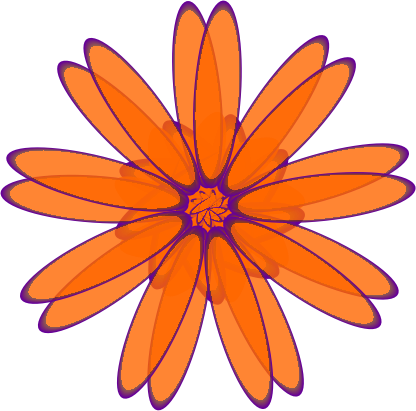 Orange Daisy