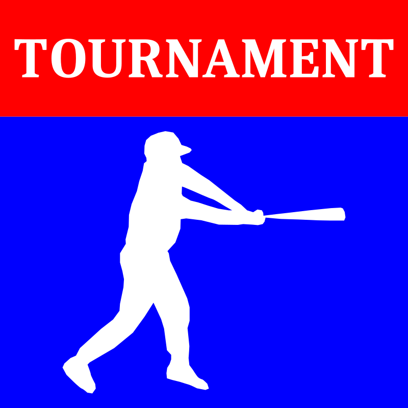 Baseball Tournament Icon