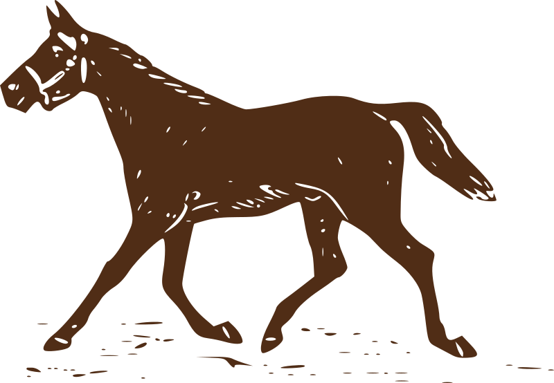 Trotting Horse 