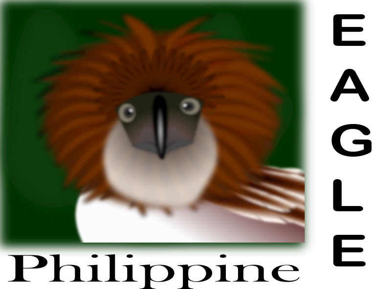 Philippine Eagle