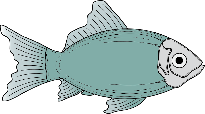 generic fish