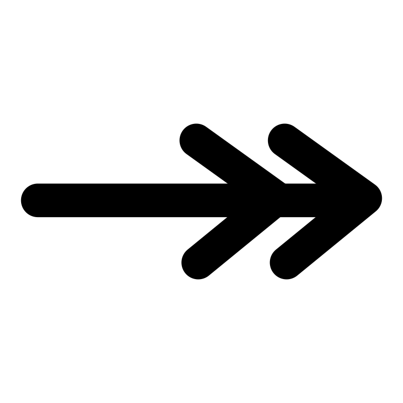 primary line double line arrow end