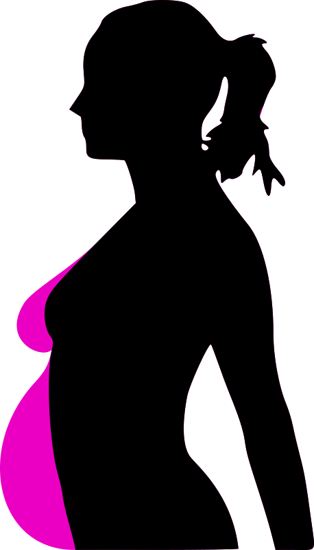 pregnancy silhouet