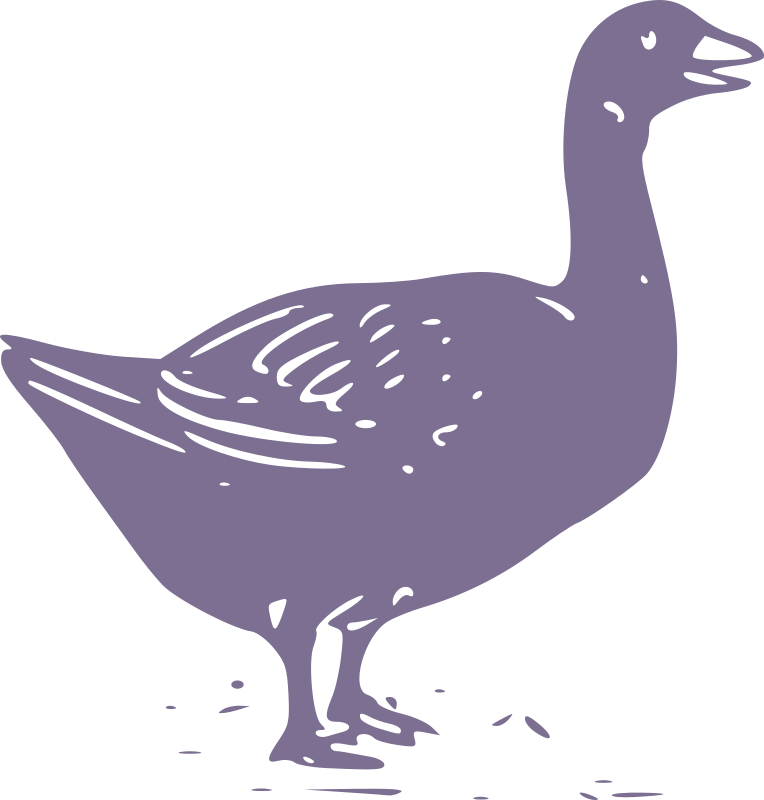 Goose