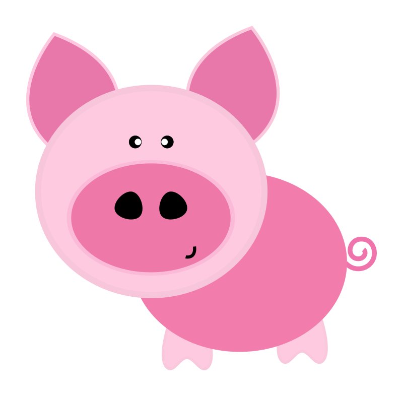 Pig