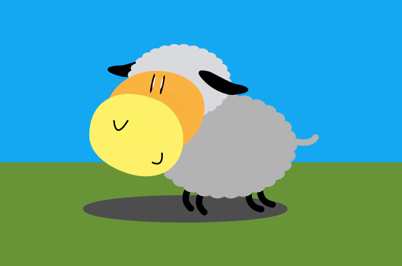 Sheep