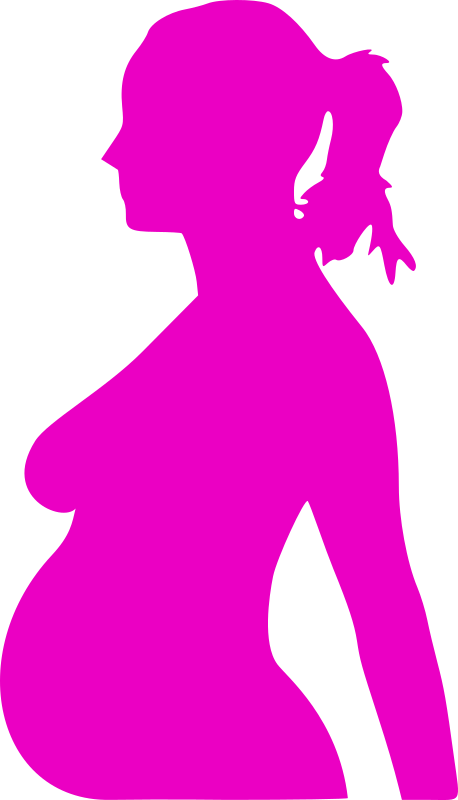 pregnancy silhouet