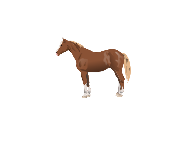 horse