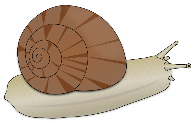 Escargot