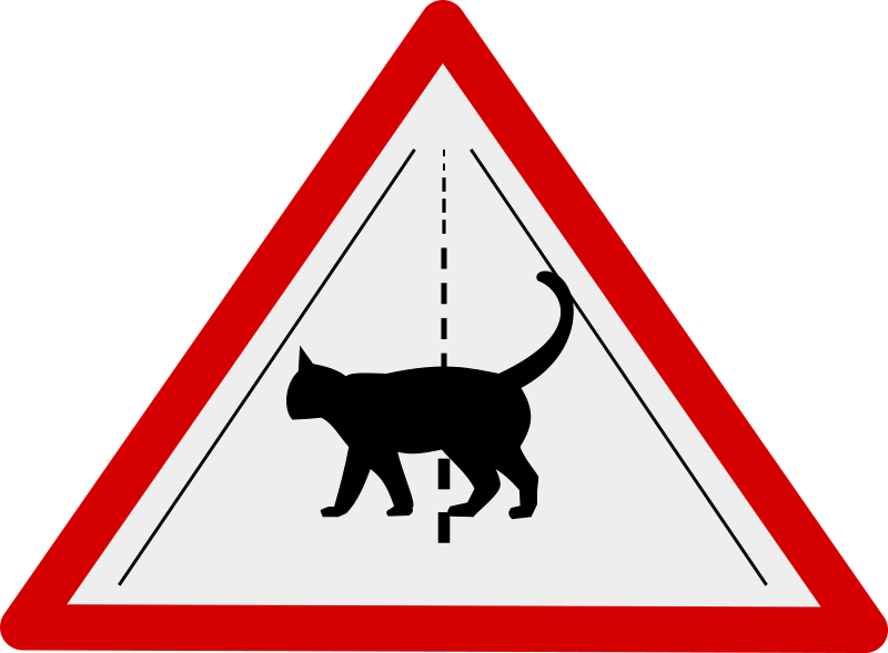 Traversée de chats