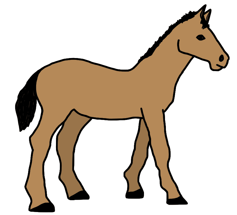 caballo