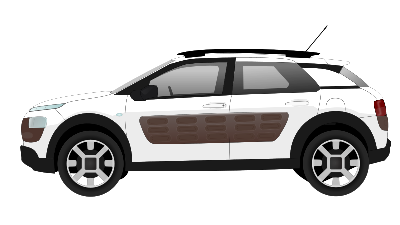 C4 cactus car