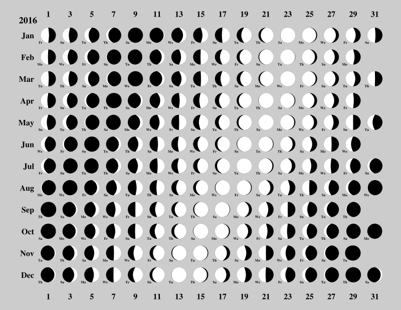 lcal 2016 odd days grey