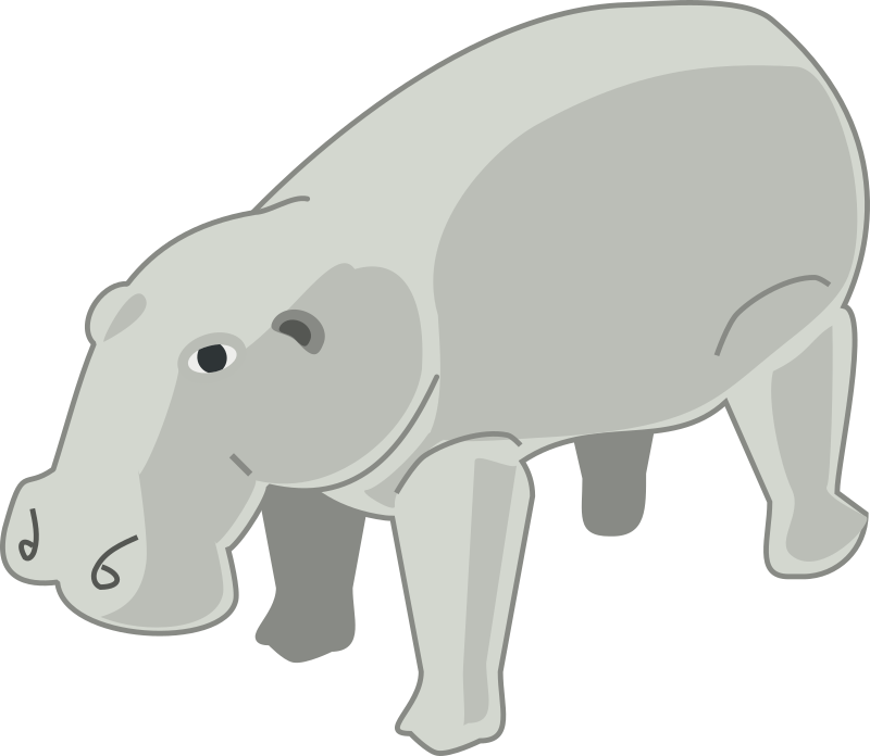 hippopotamus