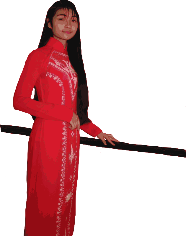 Vietnamese Ao Dai