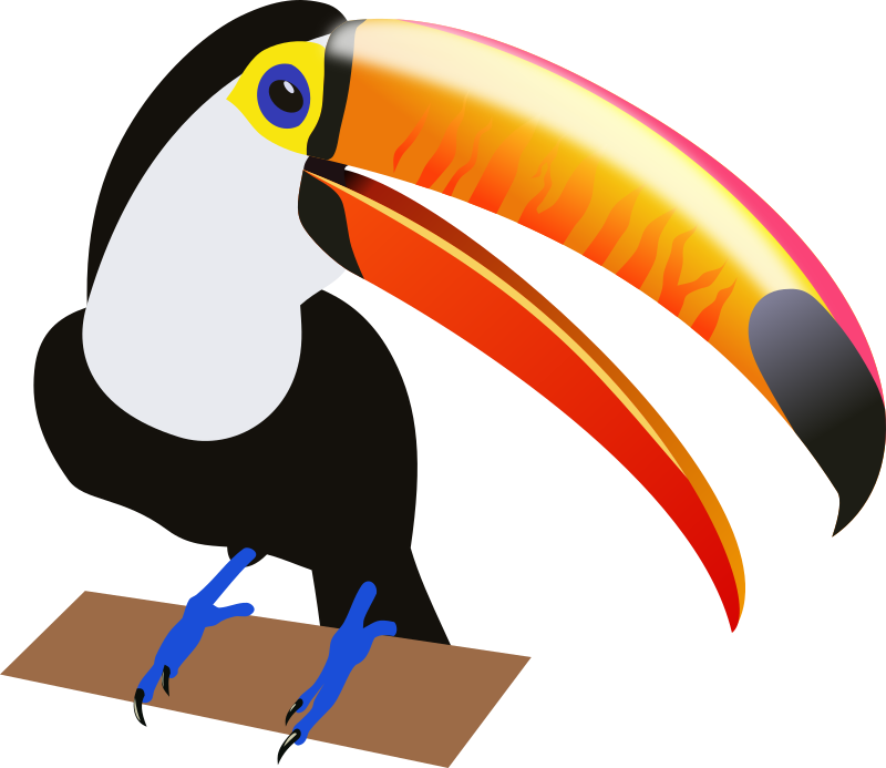 Toucan