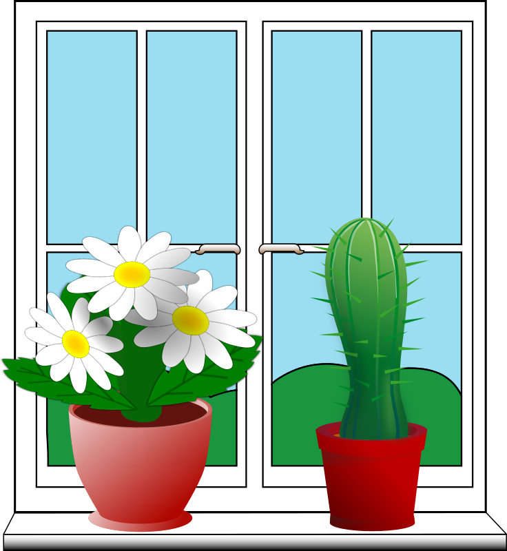 Window with potted plants