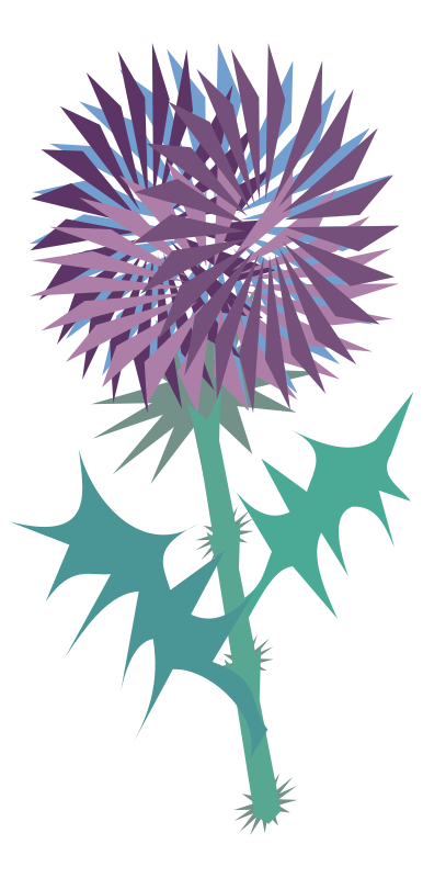 thistle