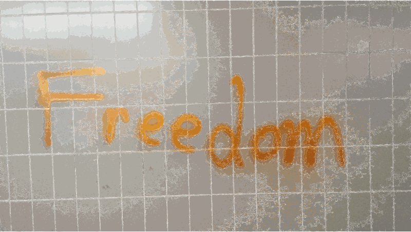 Freedom Graffiti Writing