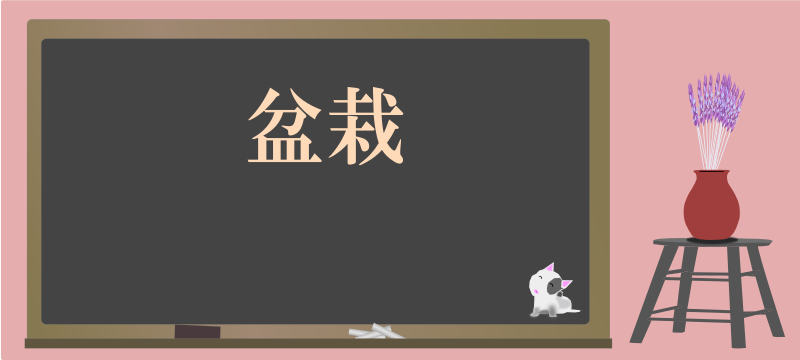 today's kanji-68-bonsai