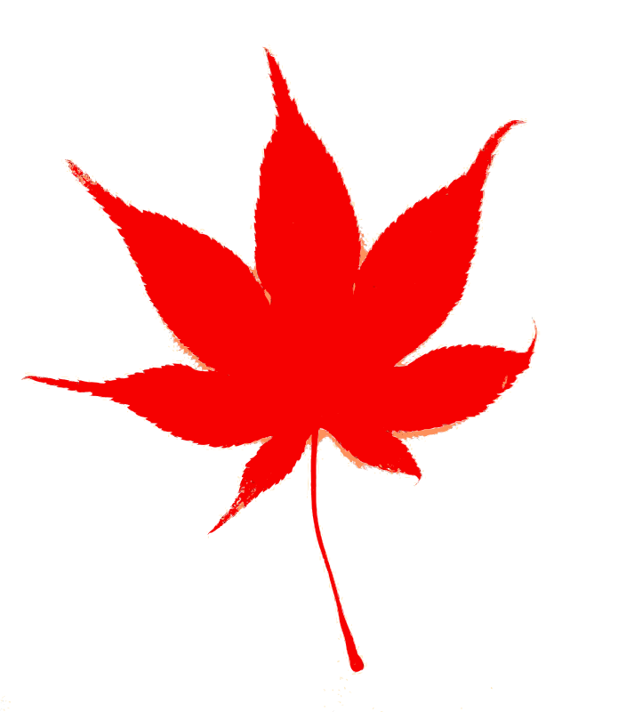 Japanese Fall Leaf Color - Openclipart