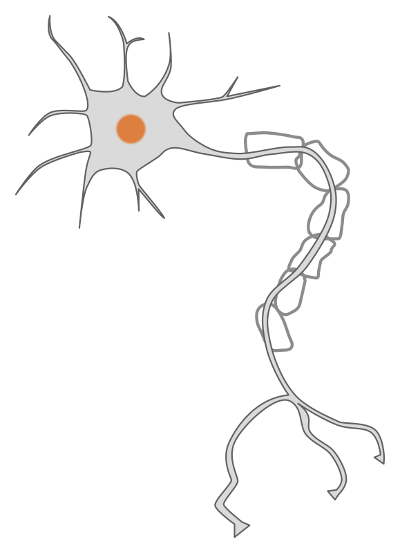 simple neuron