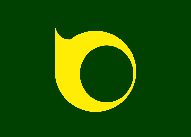 Flag of Toyone, Aichi