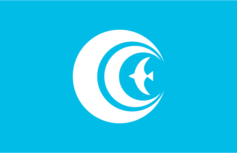 Flag of Kasumigaura, Ibaraki