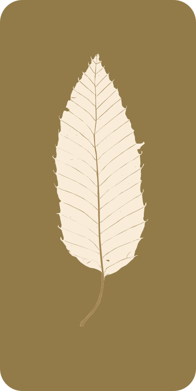 chestnut leaf 2014