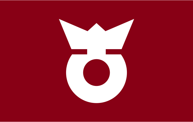 Flag of Koza, Wakayama