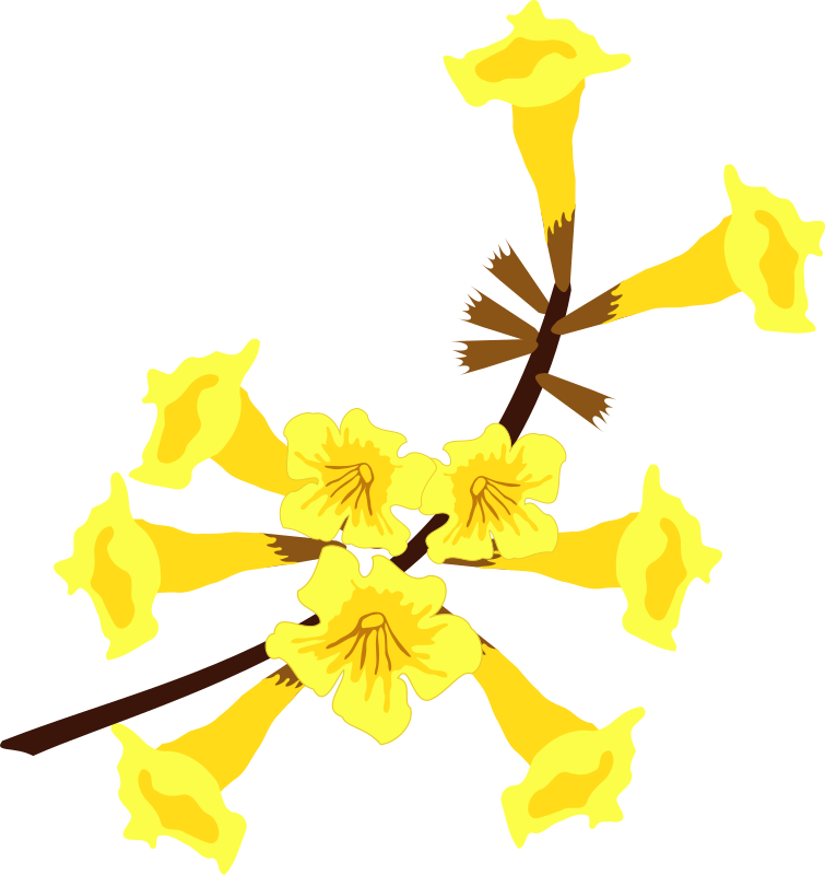 Ipê Amarelo Flor - Openclipart