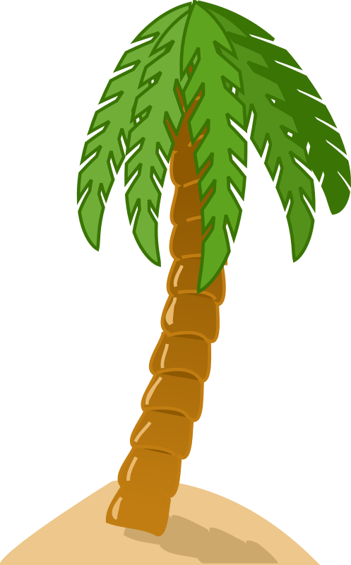 Palm tree