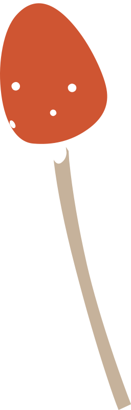 Firebog Mushroom3