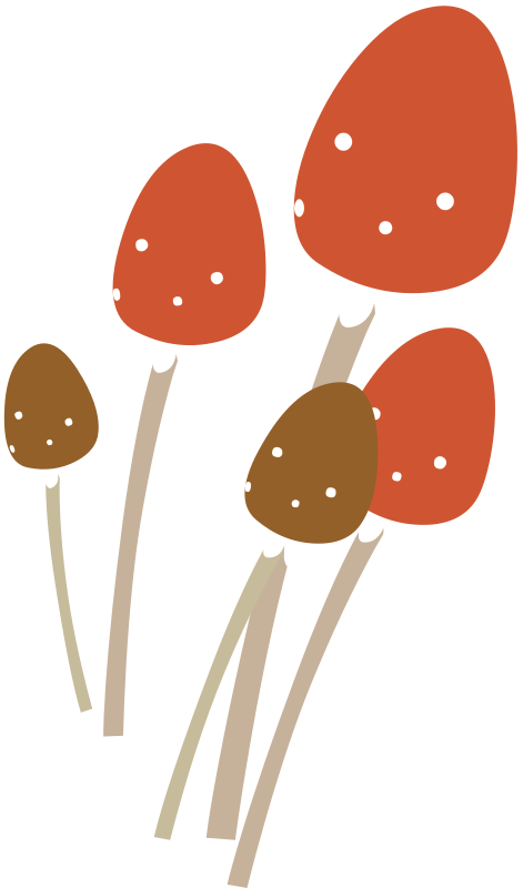 Firebog Mushrooms