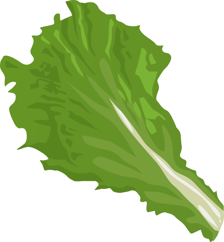 Food Green Leaf