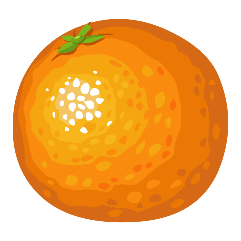 Food Orange