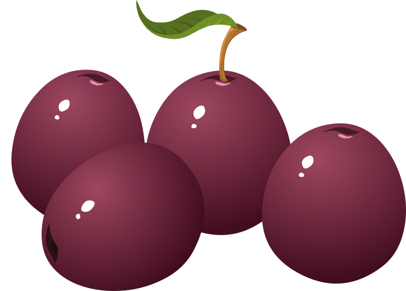 Food Plum